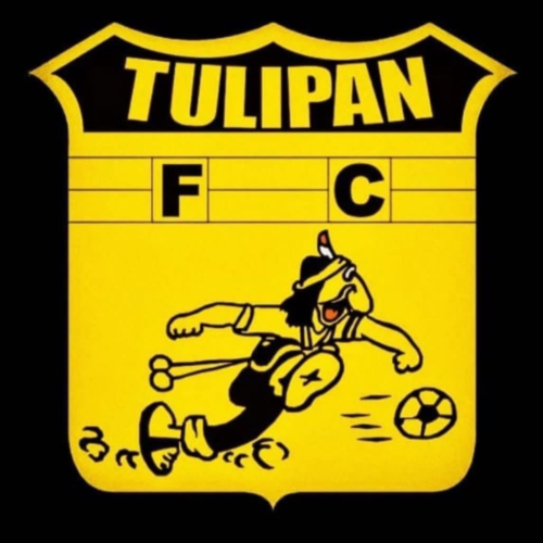 Tulipan 2015